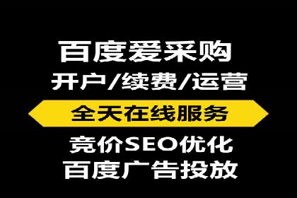 SEM推广策略：成功案例解析